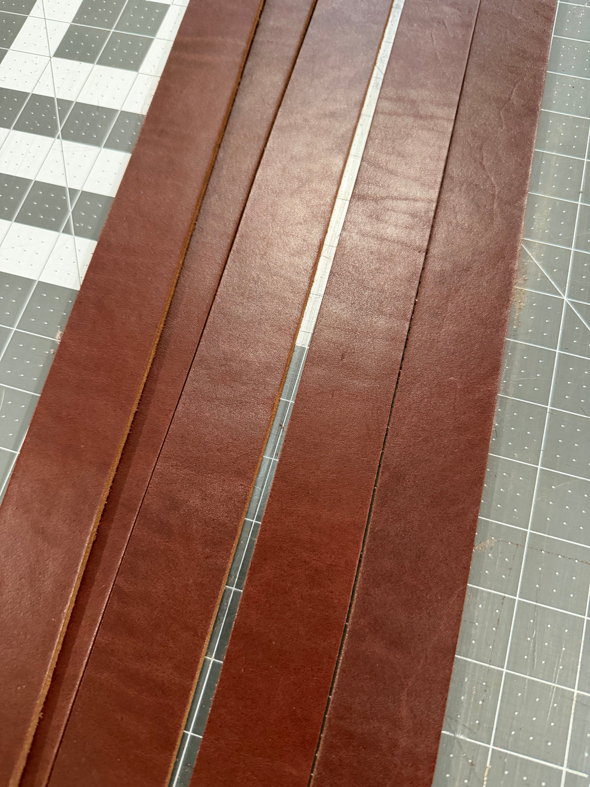 The Pampas Belt