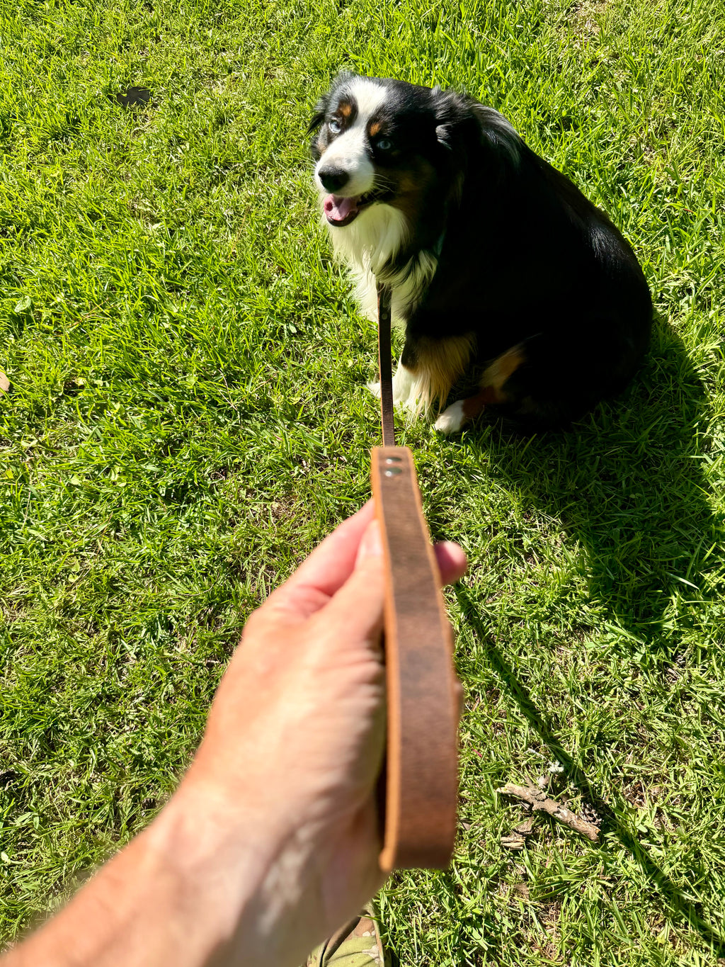 Water Buffalo leather Dog Leash