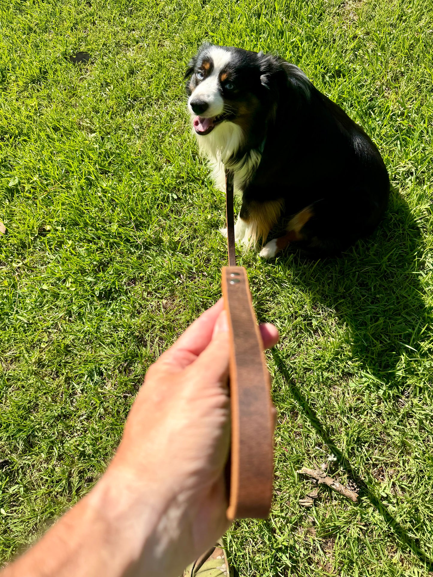 Water Buffalo leather Dog Leash