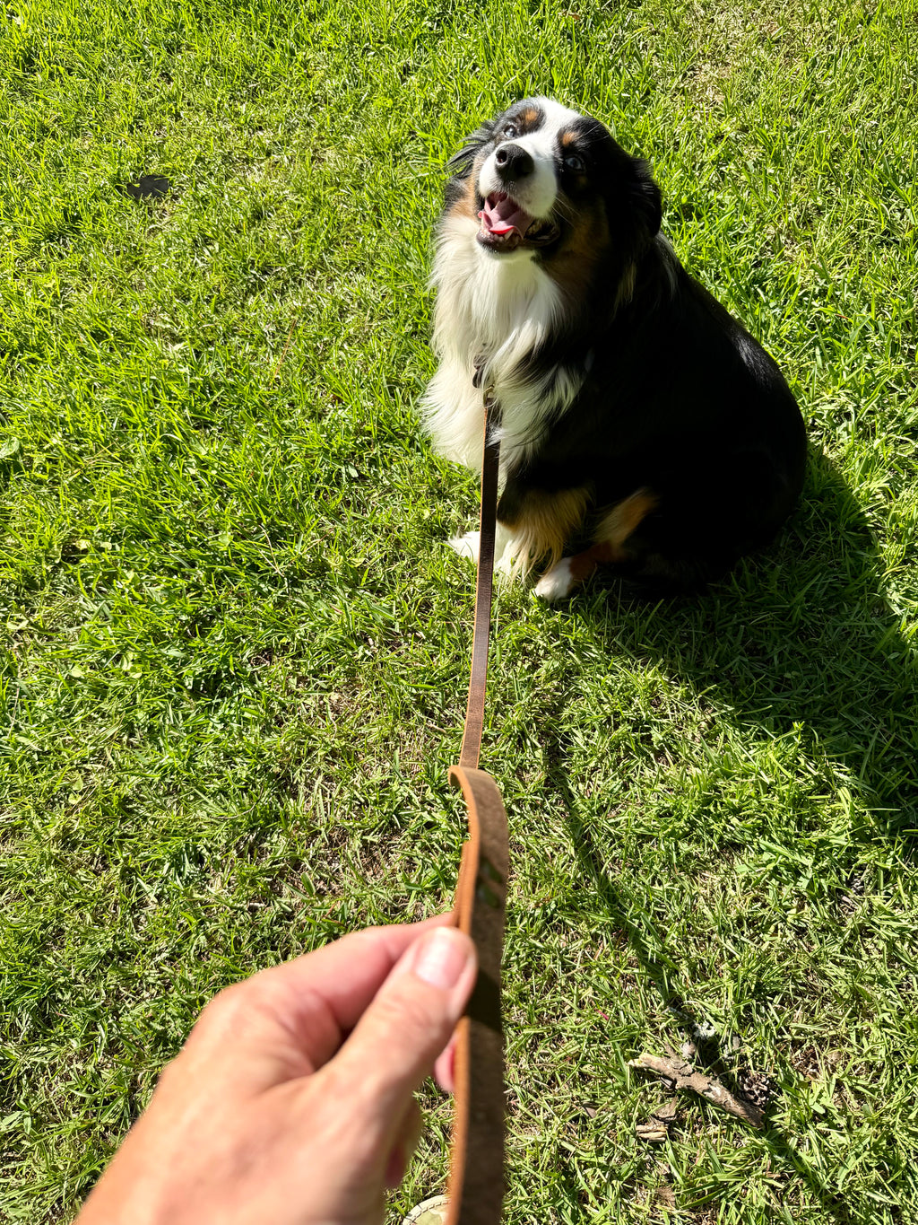 Water Buffalo leather Dog Leash