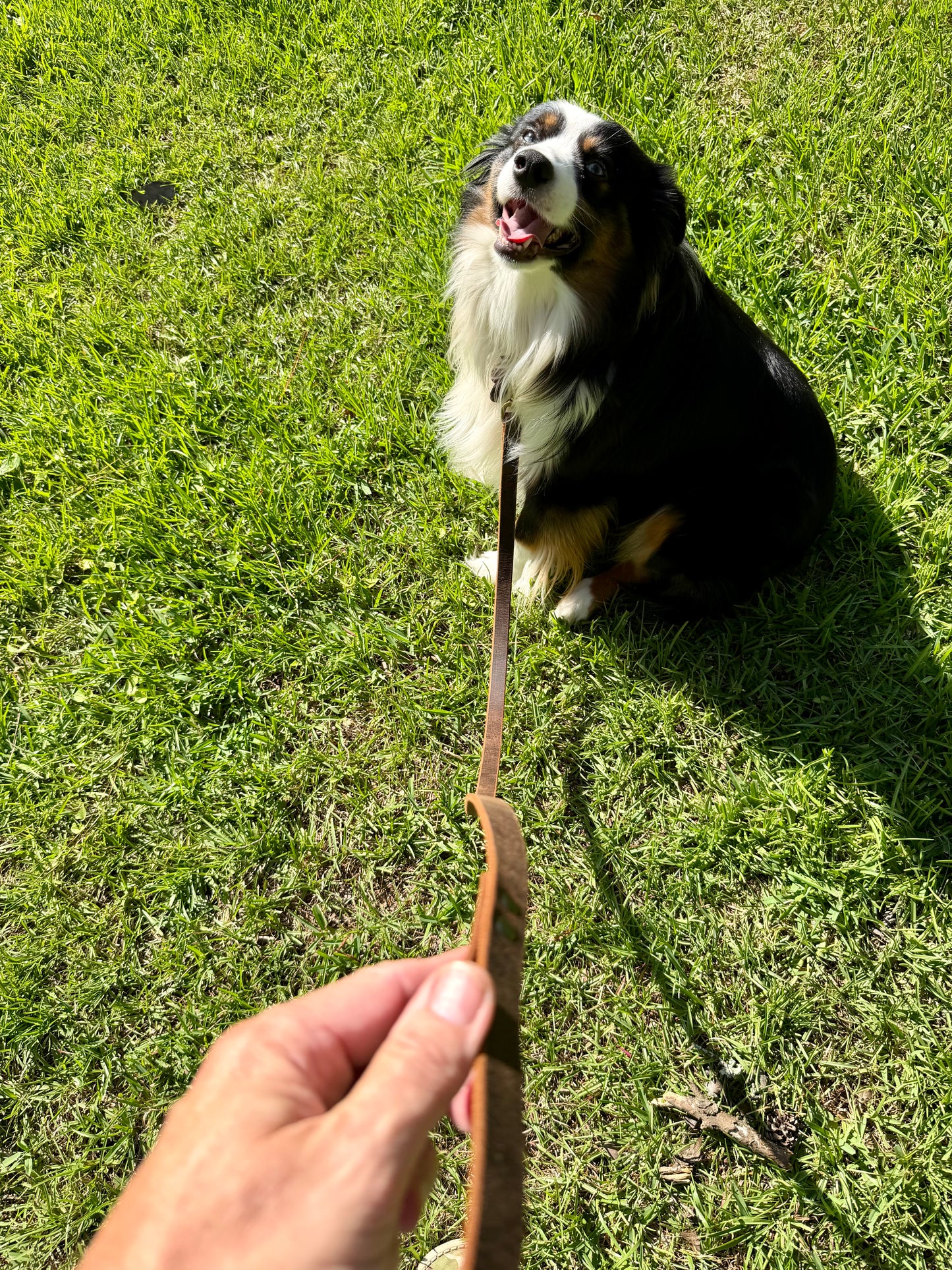 Water Buffalo leather Dog Leash
